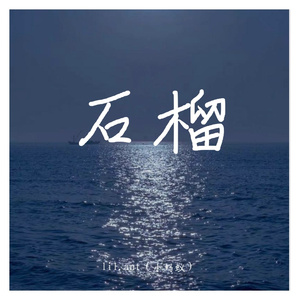 石榴(feat.by.三水不水)(Prod By.PUNISHME)