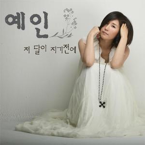 저 달이 지기 전에 (inst.)