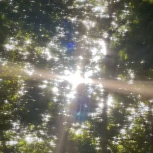 醒在千禧年的一场旧梦...