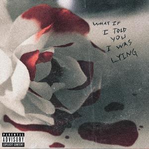 I was lying(love you)