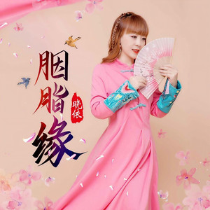 胭脂缘 (DJ野花版伴奏)