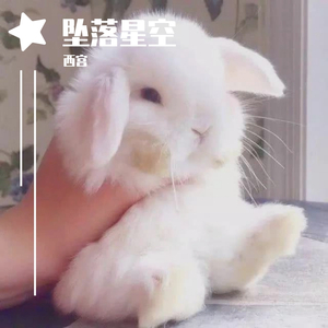 坠落星空