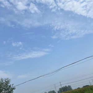 当你孤单你会想起谁