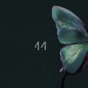 44