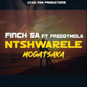 Mogatsaka Nswarele (feat. FreddyMola)