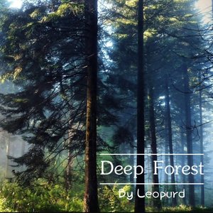 Deep Forest