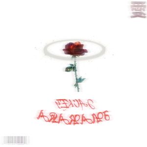 镜中玫瑰MIRROR（Prod.Thrl）