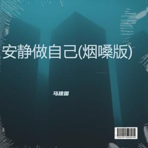 安静做自己(烟嗓版)