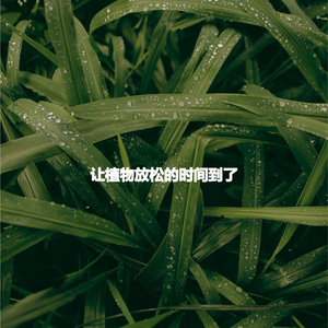 Refined Backdrops for Project Concentration