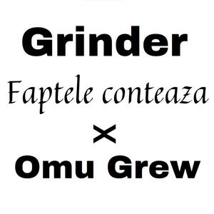 Faptele conteaza (feat. Grinder)