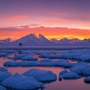 阿拉斯加海湾（prod.YnJasper)