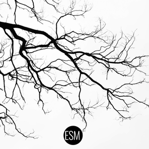 International Conflict