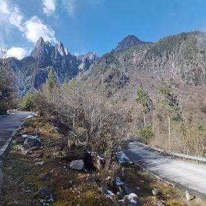水墨如华风吹过