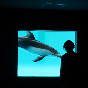 泡沫 Swang Remix（男声说唱版）（翻自 刘星禹）