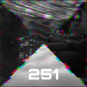 251