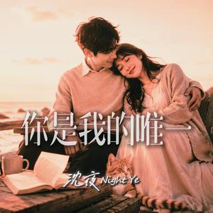 你是我的唯一