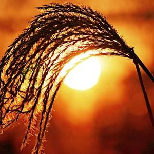 有多少爱可以重来