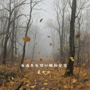 我消失在你心脏的定位