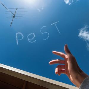 Pest