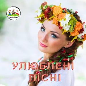 Їхав козак за Дунай