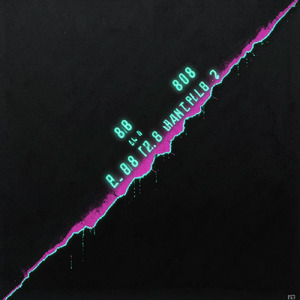 モノトーンライオット