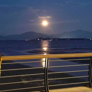 Rainfalls-陈诗悦Inniss