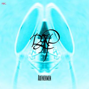 Aufnehmen