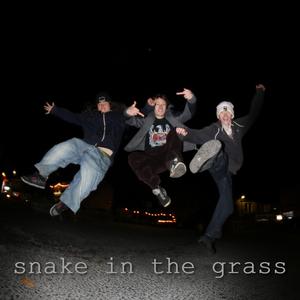 Snake In The Grass
