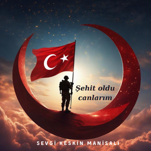 Şehit Oldu Canlarım