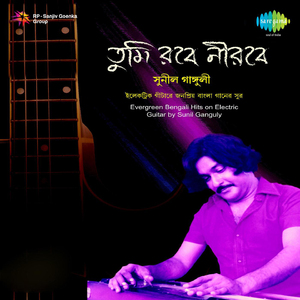 Danriye Achho Tumi Amar Gaaner O Paare (Instrumental)