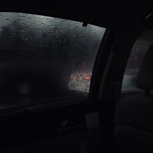 借一夜的玫瑰 许一世的心碎