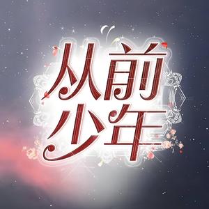 从前的少年