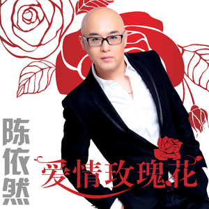 当我想说爱你时