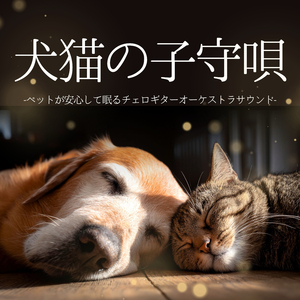 日向ぼっこ