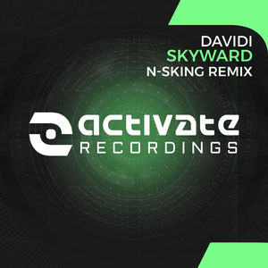 Skyward (N-sKing Extended Remix)