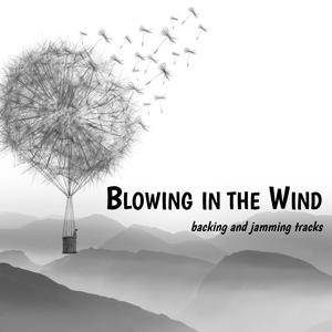Blowing in the Wind Folk Backing and Jamming Track E Major 160 BPM