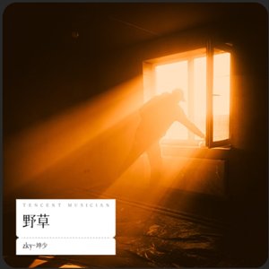 WAV文件_CCX一杯_47227937140151809_1758167094782.wav