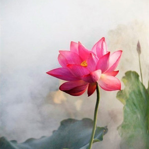 千年寂·流云（钢琴）