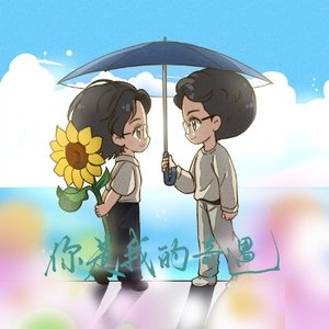 你是我的奇遇