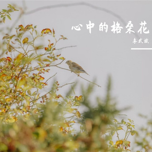 做个勇敢好娃娃