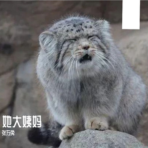 Es rappelt im Karton（她来大姨妈版）