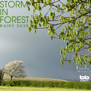 Rain Sound with Storm