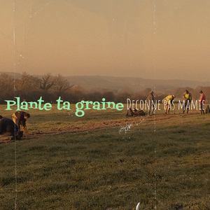 Plante ta graine