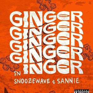 Ginger (feat. Sannie)