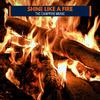 Harmonic Flames 3D Fire Music - Calmness Of Rain