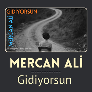 Gidiyorsun