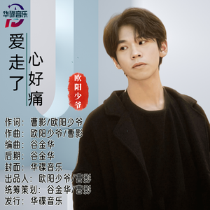 爱走了心好痛 伴奏