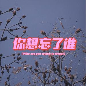 你想忘了谁