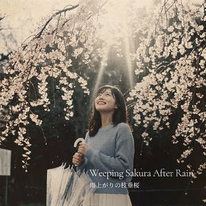 雨上がりの枝垂桜