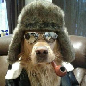 NO FREAK SHIT (feat. Stretch Nutz)